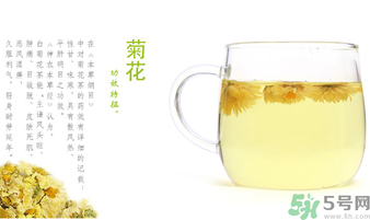 菊花茶可以放冰箱嗎？菊花茶能放冰箱冷凍嗎？