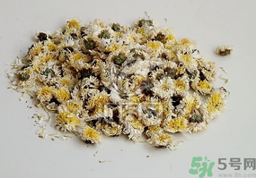干菊花長蟲怎么辦？干菊花長蟲還能喝嗎？