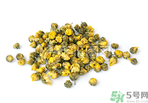 干菊花長蟲怎么辦？干菊花長蟲還能喝嗎？