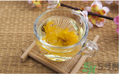 菊花茶可以天天喝嗎？菊花茶喝多了會(huì)怎么樣？