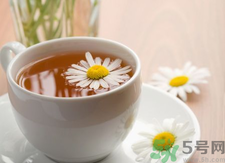 菊花茶可以天天喝嗎？菊花茶喝多了會(huì)怎么樣？