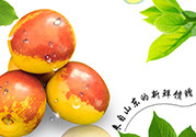 冬棗洗了可以放冰箱嗎？冬棗放冰箱好還是不放冰箱好？