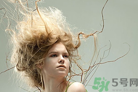 冬天用什么梳子比較好？頭發(fā)總愛靜電用什么梳子好？
