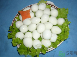鴿子蛋怎么煮不會破裂？鴿子蛋怎么煮不會破？