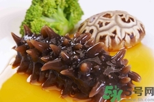 吃海參會(huì)上火嗎？經(jīng)常吃海參會(huì)上火嗎？