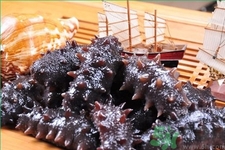 新鮮海參怎么吃最好？新鮮海參生吃最好嗎？