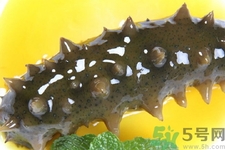 小孩能吃海參嗎？四種人不適合吃海參