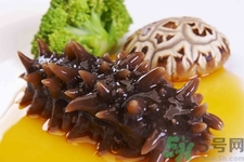 小孩能吃海參嗎？四種人不適合吃海參