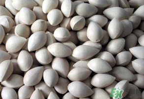 吃白果有什么好處和壞處？吃白果有什么作用？