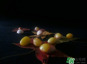白果可以放微波爐嗎？白果放微波爐轉(zhuǎn)幾分鐘？