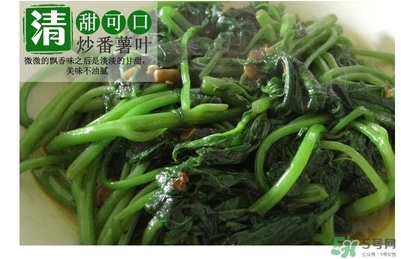 紅薯葉哺乳期可以吃嗎？紅薯葉產(chǎn)婦可以吃嗎？