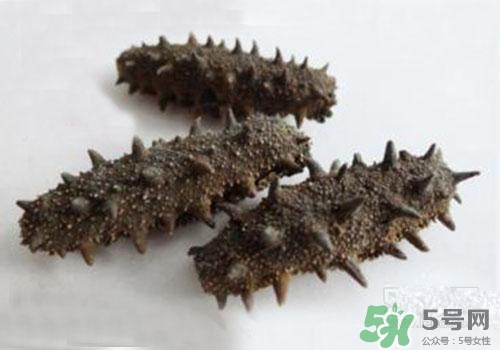 海參肚子里的筋能吃嗎？海參肚子里的筋吃了有什么作用？