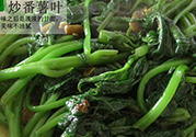 紅薯葉不能和什么一起吃？紅薯葉什么不能吃？