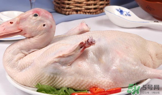 鴨肉可以放冰箱嗎？鴨肉放冰箱能保鮮多久？
