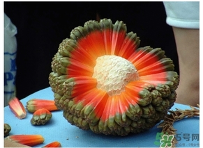 露兜果怎么吃？露兜果的功效作用