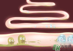 益生菌可以長期吃嗎？益生菌什么時(shí)候吃比較好？