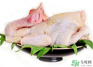 冷凍肉可以放多久？速凍肉可以放多久？