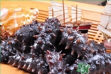 腎虛能吃海參嗎？吃海參對腎好嗎？