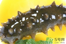 怎樣鑒別新鮮海參的好壞？干海參如何鑒別真假