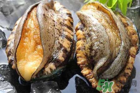 鮑魚能冷凍嗎？鮑魚可以放冰箱冷藏嗎？