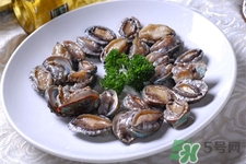 鮑魚能冷凍嗎？鮑魚可以放冰箱冷藏嗎？