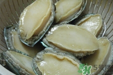 鮑魚死后可以放幾天？鮑魚死后多久不能吃？