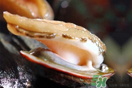 新鮮鮑魚可以放多久？活鮑魚怎樣存放時間更長？