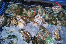 男人吃鮑魚能補(bǔ)腎嗎？腎虛能吃鮑魚嗎？