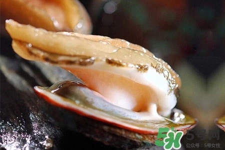 鮑魚一次最多吃幾個？鮑魚吃多了有什么不好的？