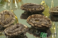 吃鮑魚要注意些什么？吃鮑魚會過敏嗎？