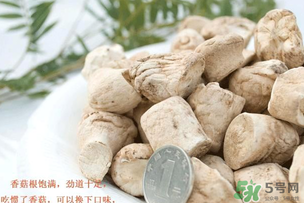 香菇根能吃嗎？香菇的根可以吃嗎？
