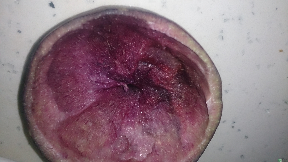 牛奶果怎么吃？牛奶果的功效與作用