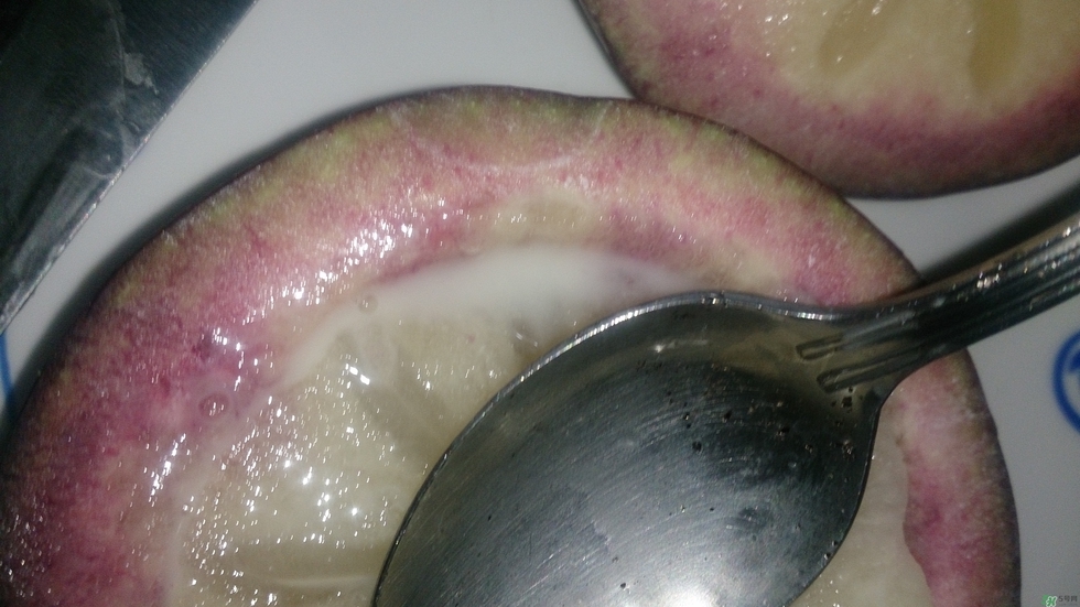 牛奶果怎么吃？牛奶果的功效與作用