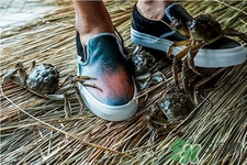 vans與acu合作款鞋子在哪可以買？vans與acu合作款鞋子上市發(fā)售時(shí)間