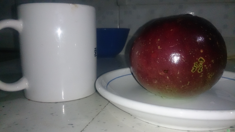 牛奶果怎么吃？牛奶果的功效與作用