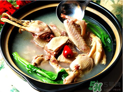 鴨肉和柿子能一起吃嗎？吃完鴨肉可以吃柿子嗎？