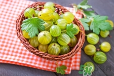 燈籠果一天吃幾個(gè)最好？燈籠果什么時(shí)候吃最好？