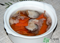 雞肉能和胡蘿卜一起吃嗎？雞肉和蘿卜可以一起吃嗎？