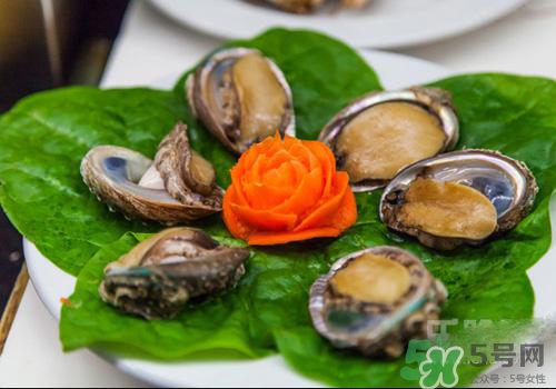 鮑魚是熱性還是涼性？鮑魚是寒性食物嗎？