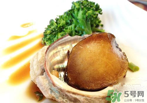 鮑魚是熱性還是涼性？鮑魚是寒性食物嗎？
