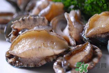 寶寶能吃鮑魚嗎？寶寶多大可以吃鮑魚？