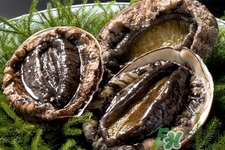 鮑魚什么部位不能吃？吃鮑魚的禁忌