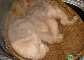 豬大腸怎么清洗？豬大腸怎么去臭味？