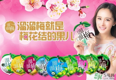溜溜梅是梅花結(jié)的果嗎？溜溜梅的功效作用
