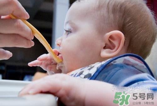 6個月的寶寶可以吃肉泥嗎？寶寶幾個月可以吃肉泥？