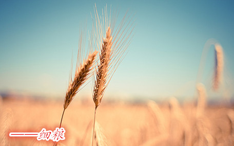 麥片什么牌子好？進(jìn)口麥片哪個(gè)牌子好吃