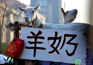 鮮羊奶怎么保存？鮮羊奶放冰箱能放多久？