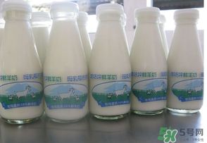 鮮羊奶可以直接喝嗎？鮮羊奶怎么喝最好？