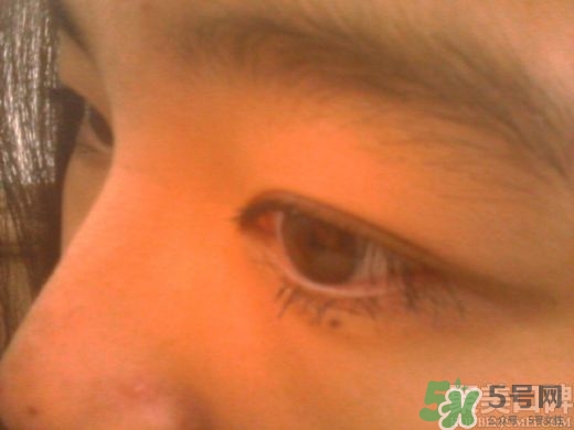 菲詩(shī)小鋪睫毛膏怎么樣？the face shop睫毛膏好用嗎？