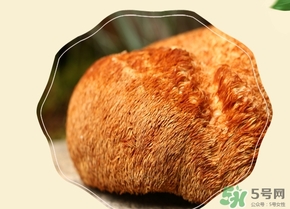 猴頭菇怎么吃？猴頭菇的功效與作用
